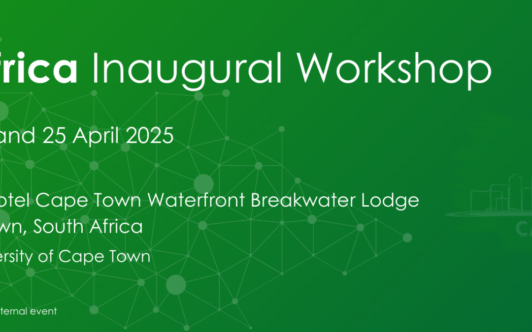 DIGITAfrica Inaugural Workshop