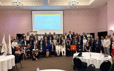 DIGITAfrica Consultation  Workshop
