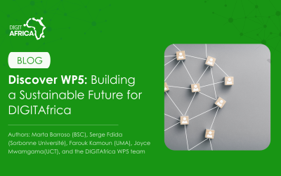 Building a Sustainable Future for DIGITAfrica – WP5